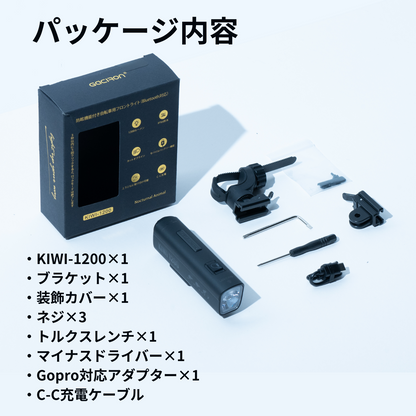 Gaciron（ガシロン）フロントライト KIWI-1200